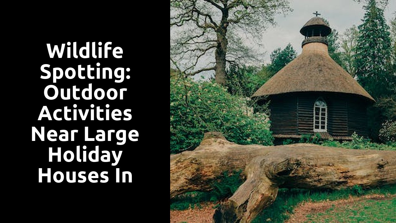 Wildlife Spotting: Outdoor Activities near Large Holiday Houses in Scotland